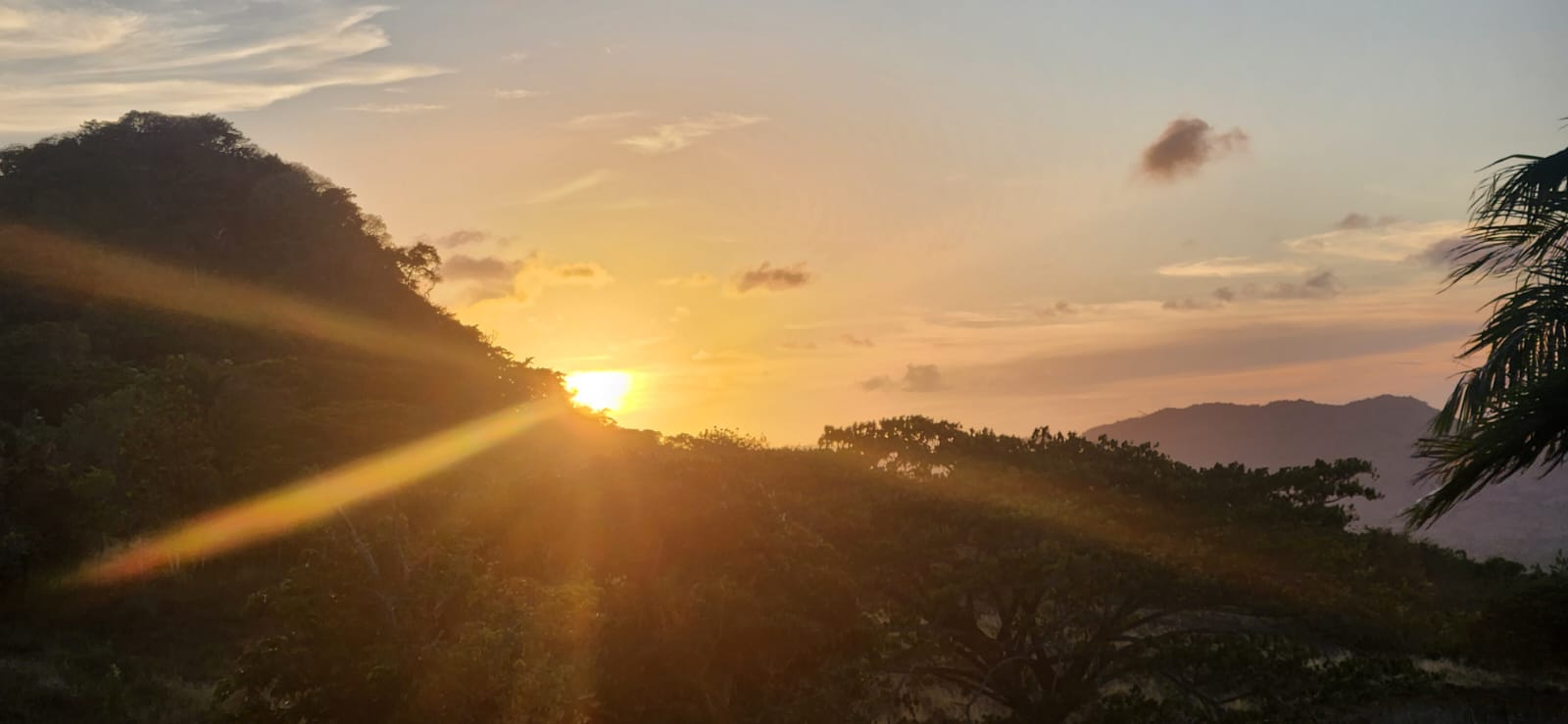 10.Land for Sale Puerto Plata Odile Horjus