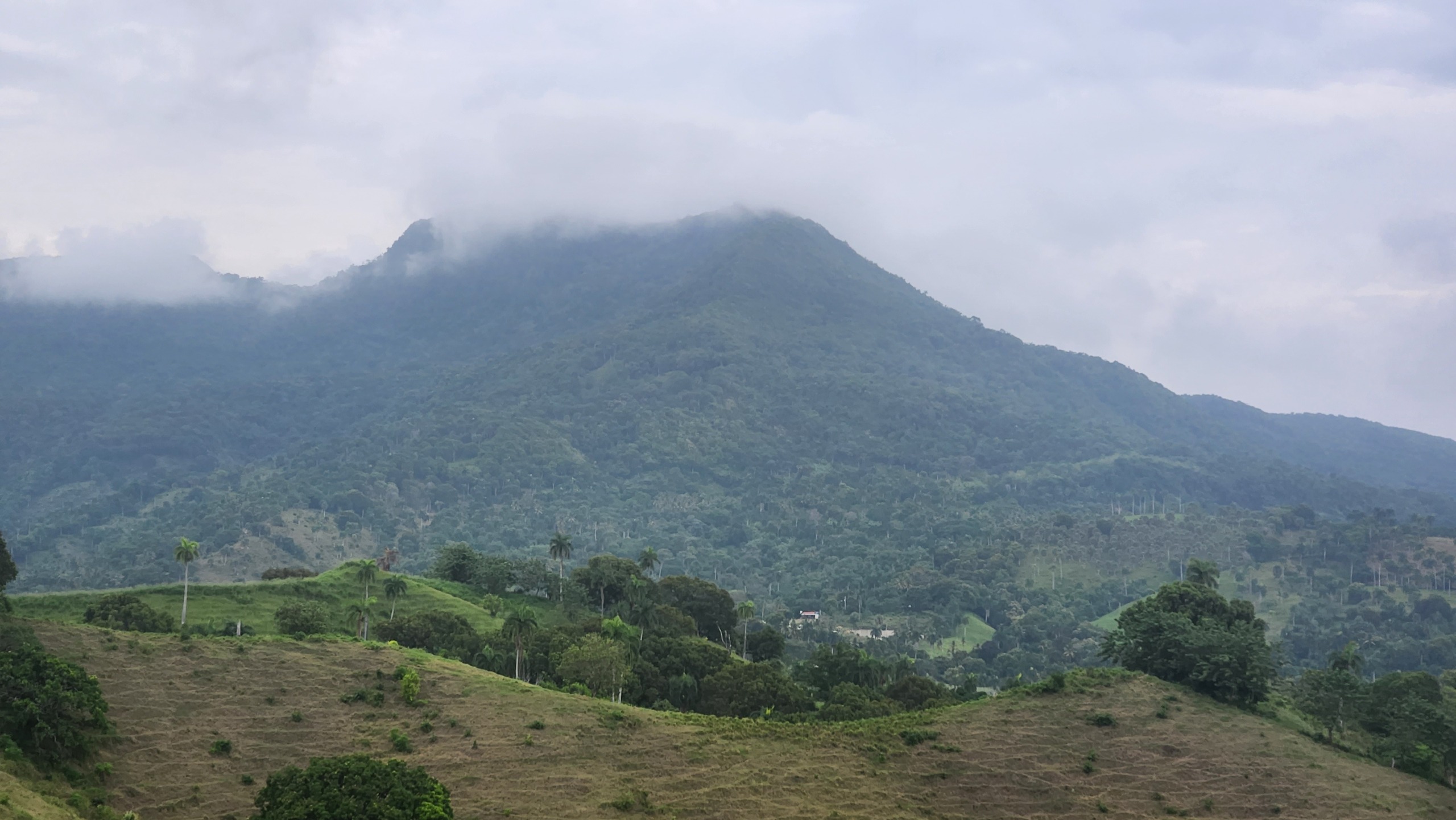 2.Lots for sale Cupey Puerto Plata Odile Horjus