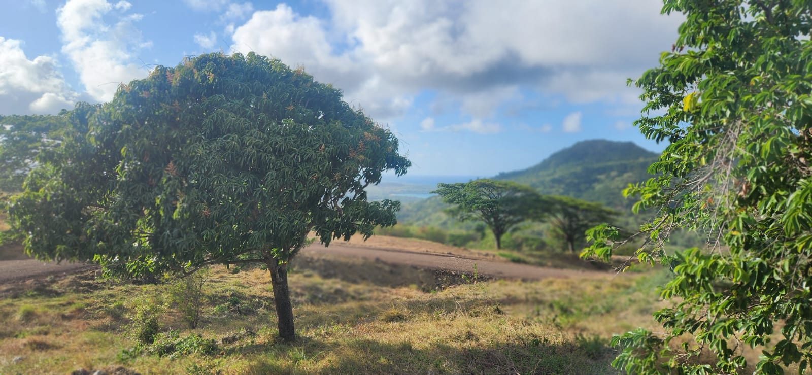 3.Land for Sale Puerto Plata Odile Horjus