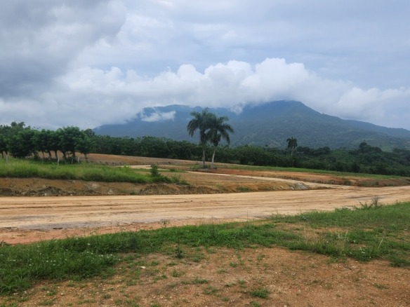 Lots for sale Cupey Puerto Plata Odile Horjus