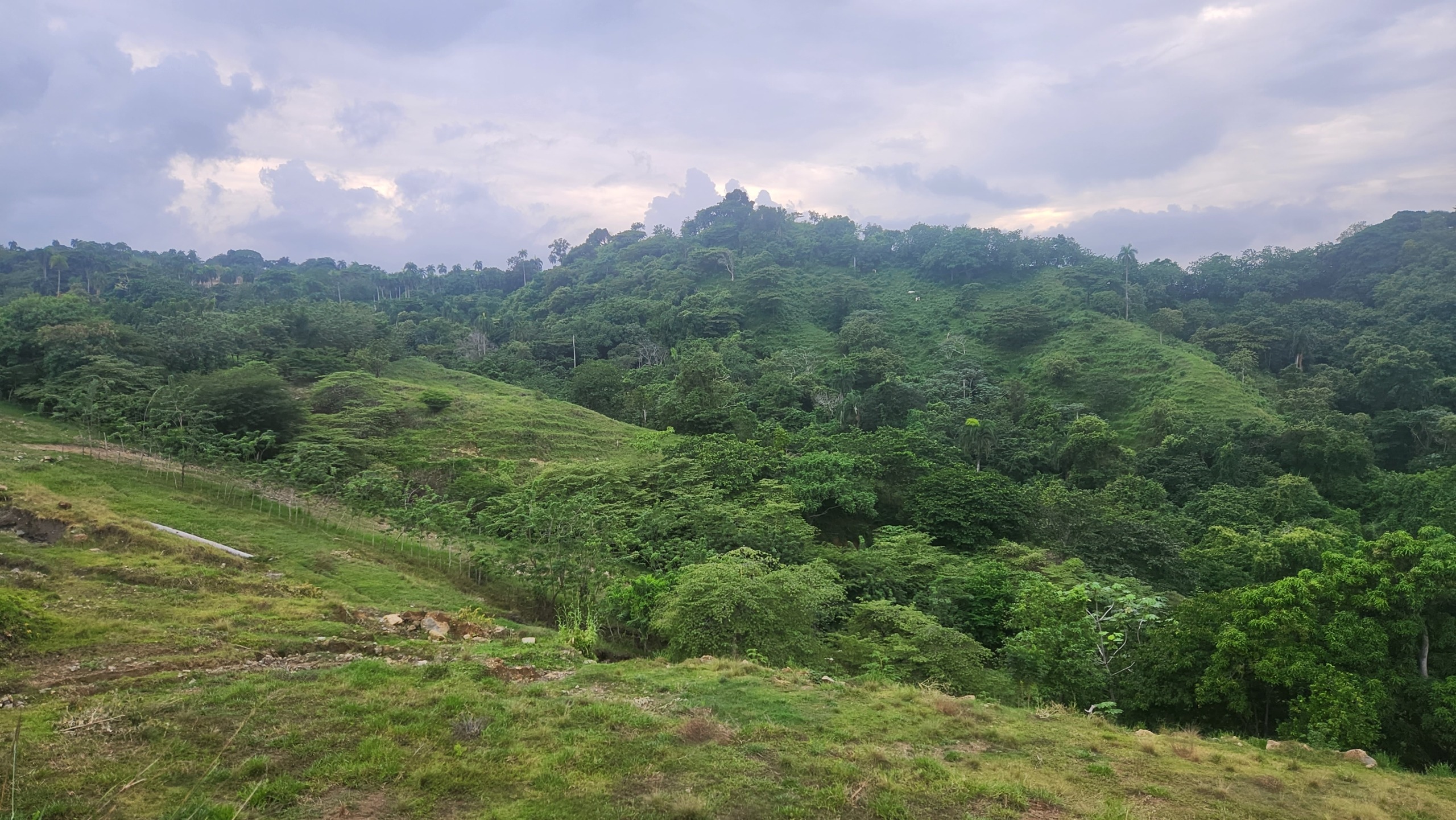 4.Lots for sale Cupey Puerto Plata Odile Horjus