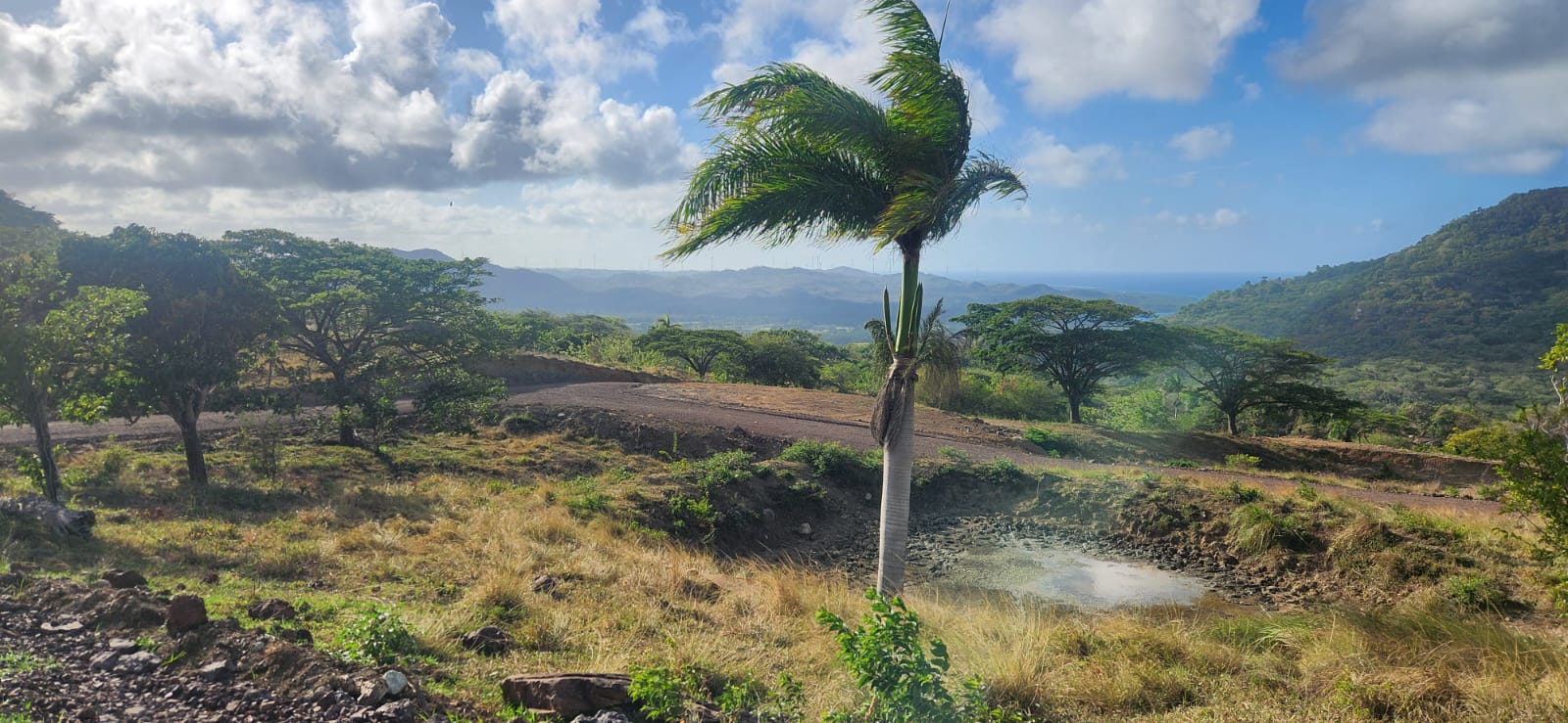 5.Land for Sale Puerto Plata Odile Horjus