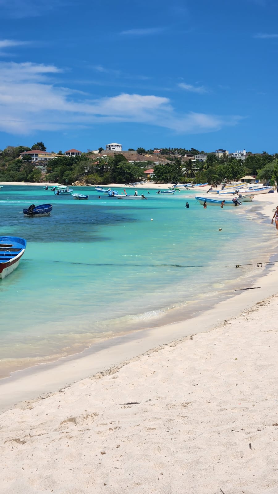 North Coast Dominican Odile Horjus