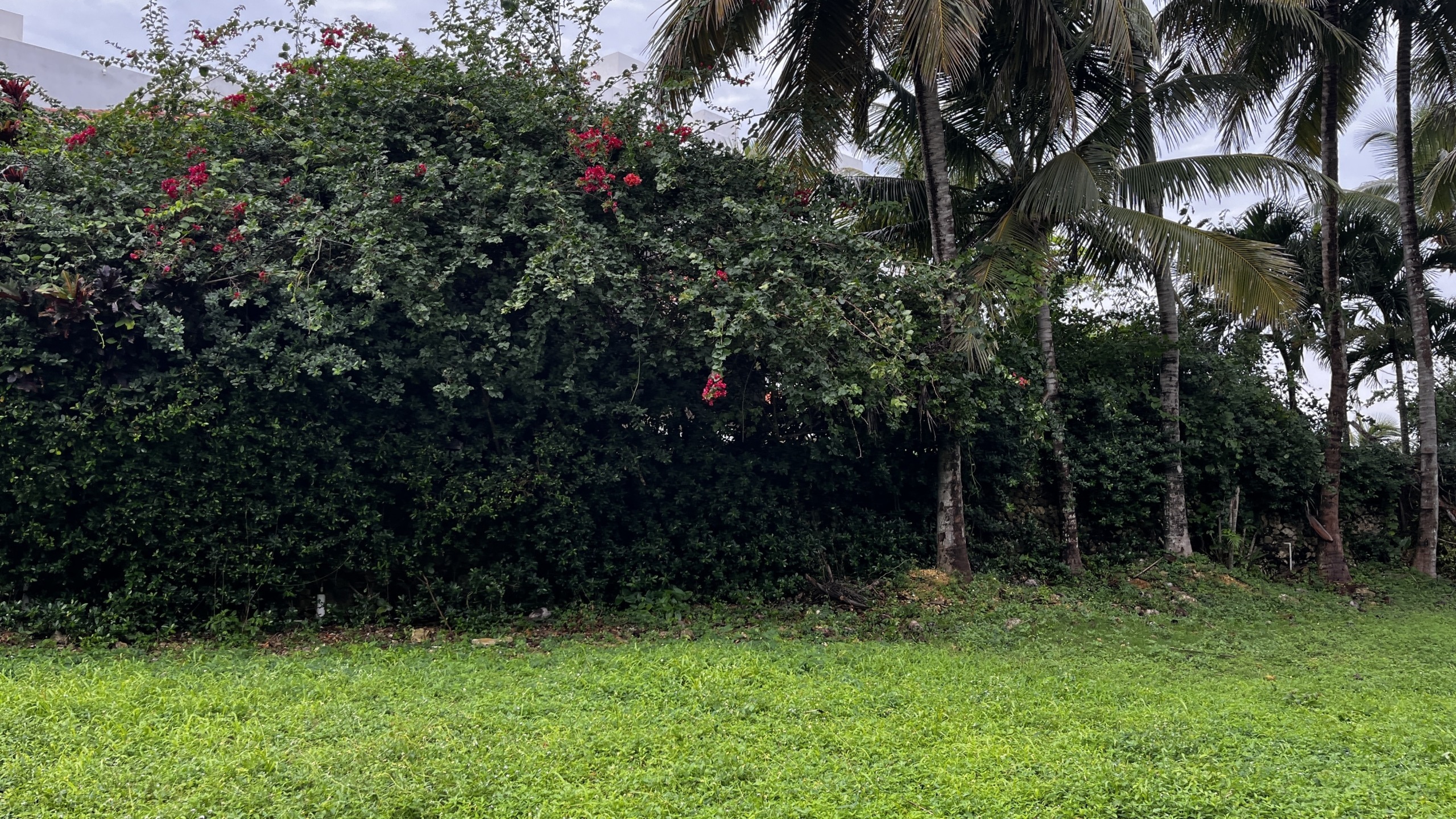 10.Beachfront lot for sale Sosua Odile Horjus Colorful Casas (1)