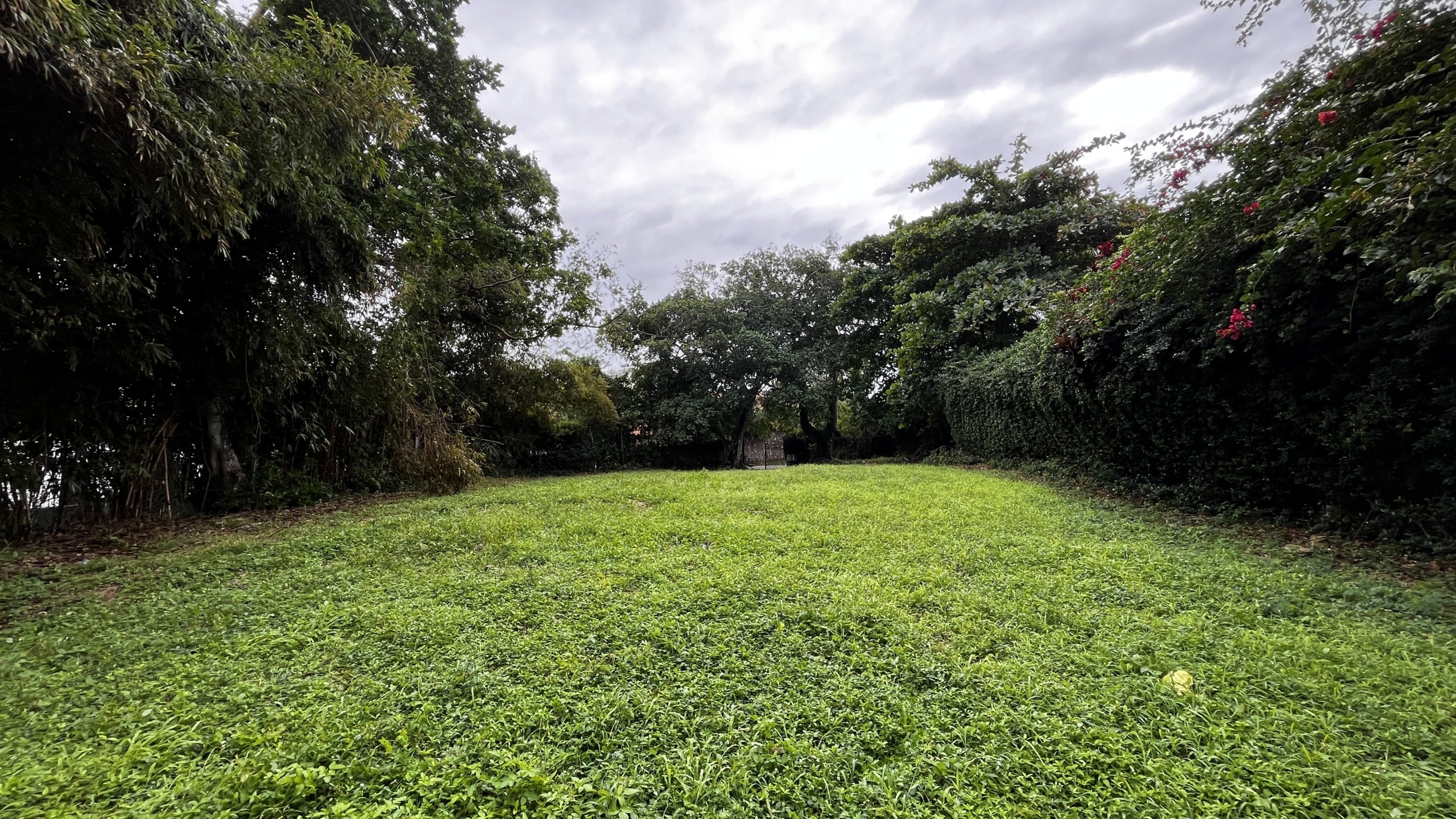 3.Beachfront lot for sale Sosua Odile Horjus Colorful Casas (1)