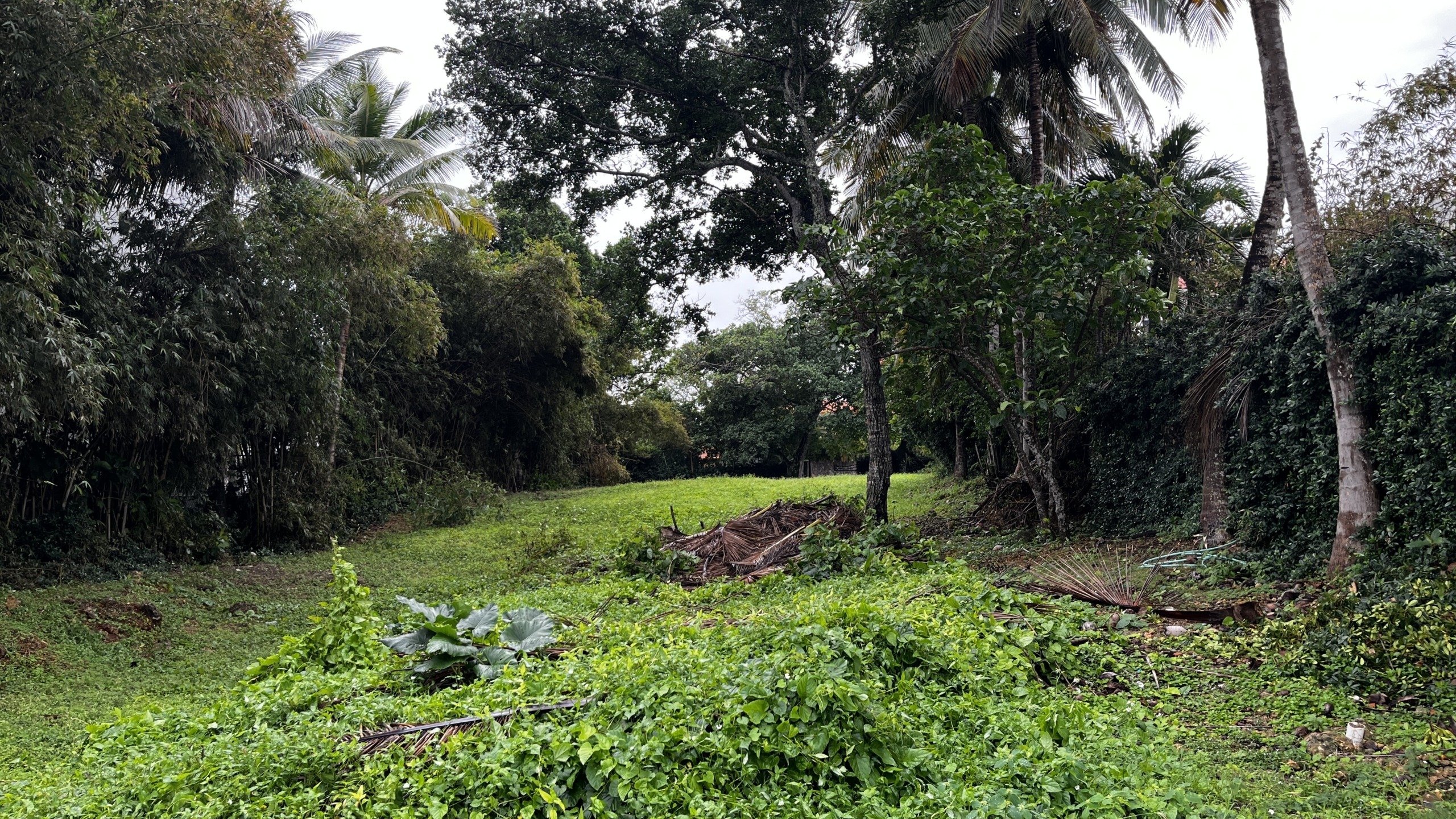 4.Beachfront lot for sale Sosua Odile Horjus Colorful Casas (1)