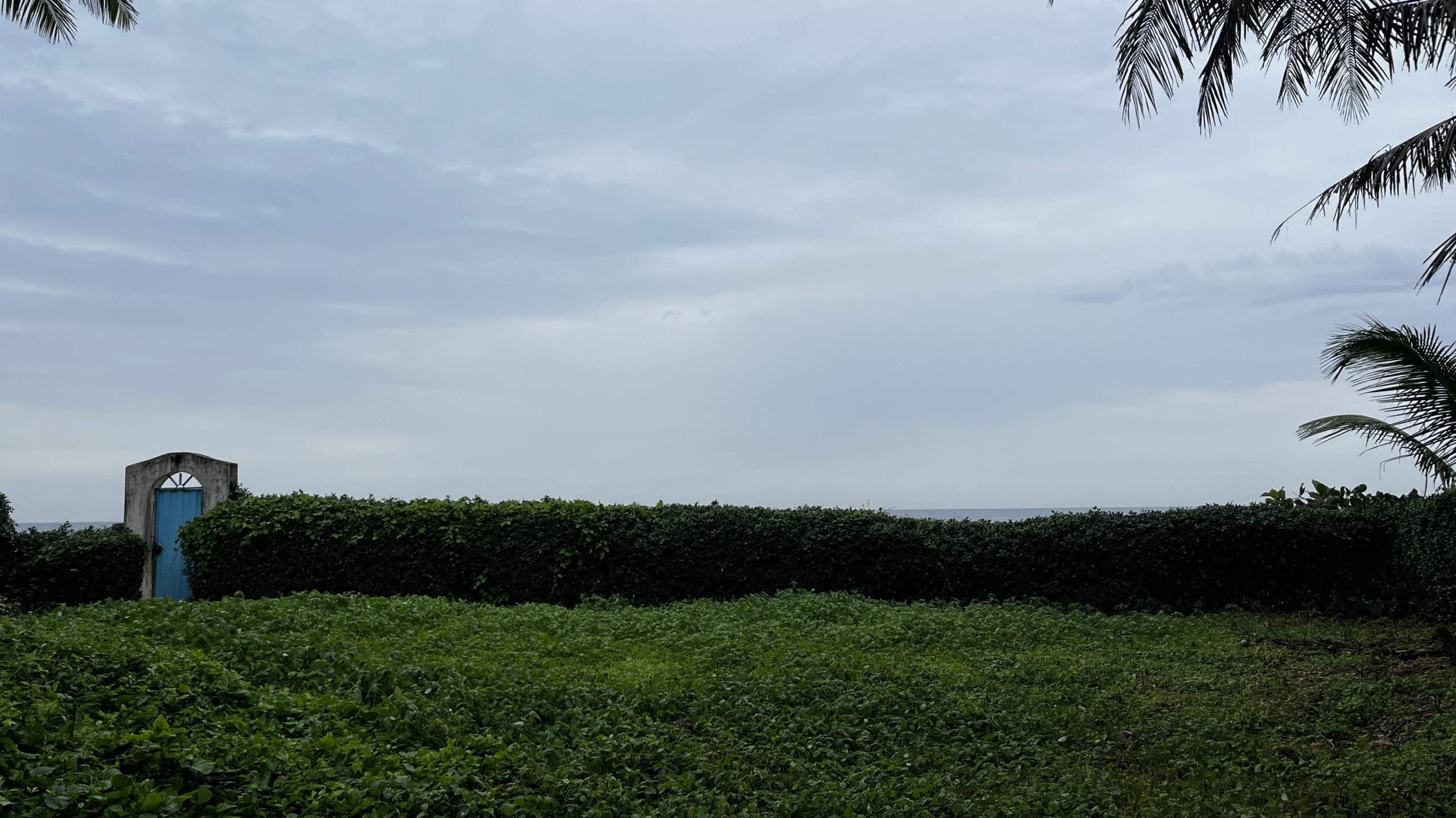 7.Beachfront lot for sale Sosua Odile Horjus Colorful Casas (1)