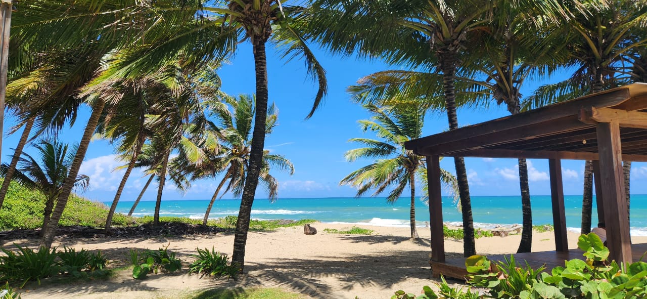 Beachfront Apartment in Cabarete
