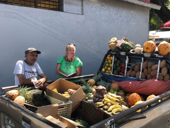 Fruit truck Odile Horjus
