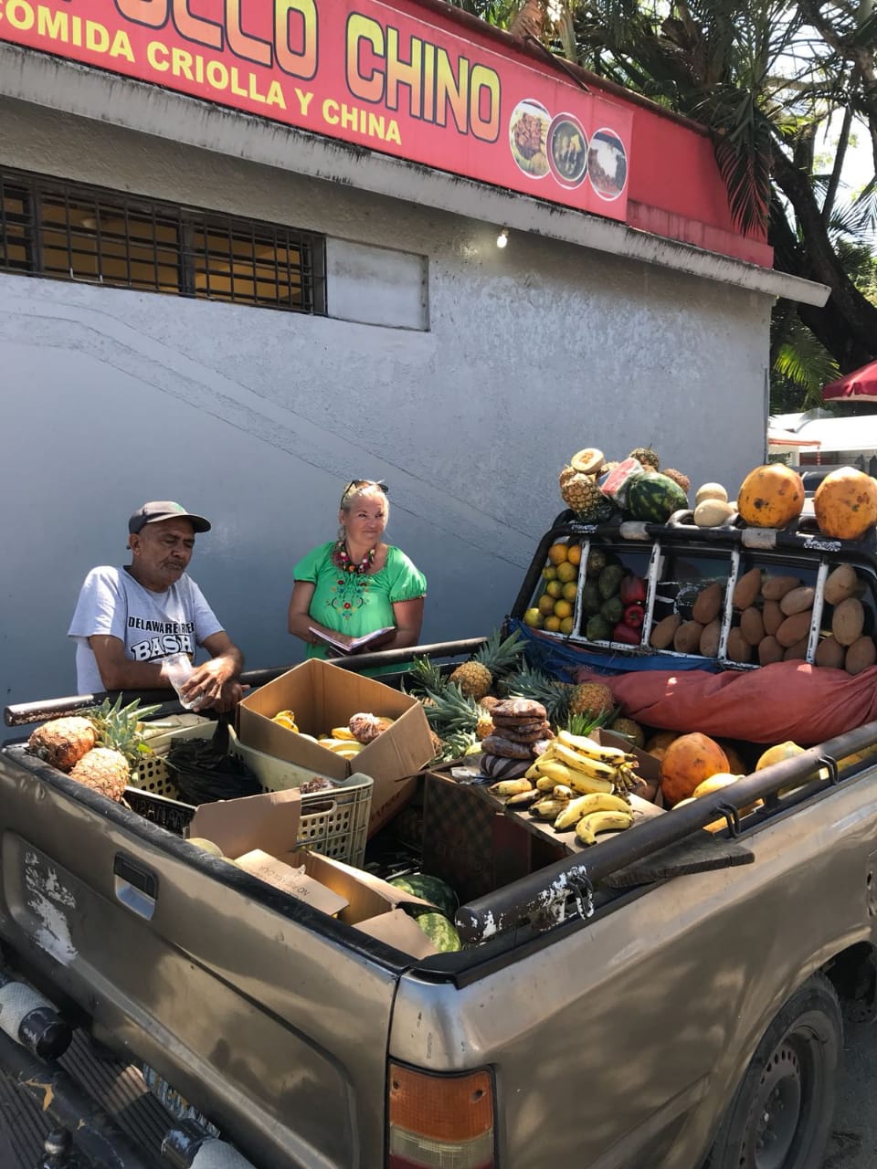Fruit truck Odile Horjus